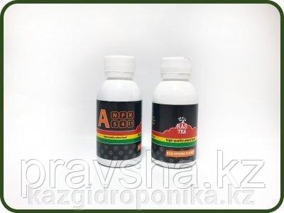 RasTea Eco-Hydro Flores A/B 0,1L
