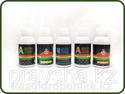 Комплект базовых удобрений Rastea 0,1L