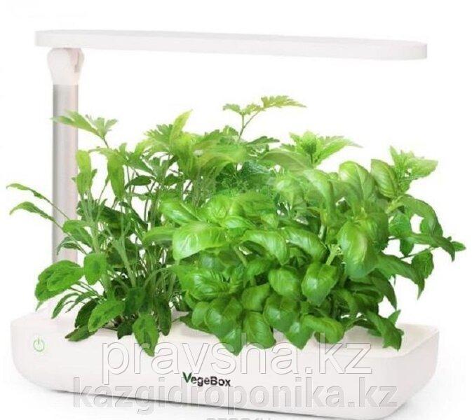 Настольная садовая ферма VegeBox T-Box