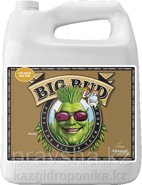 Стимулятор Big Bud Coco Liquid 500 мл