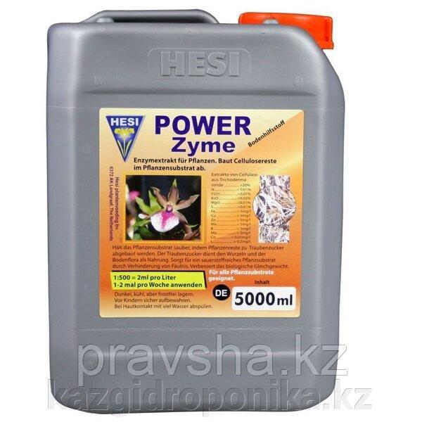Стимулятор PowerZyme Hesi 5л