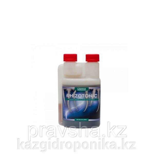 CANNA RHIZOTONIC, стимулятор корнеобразования 0.25 L