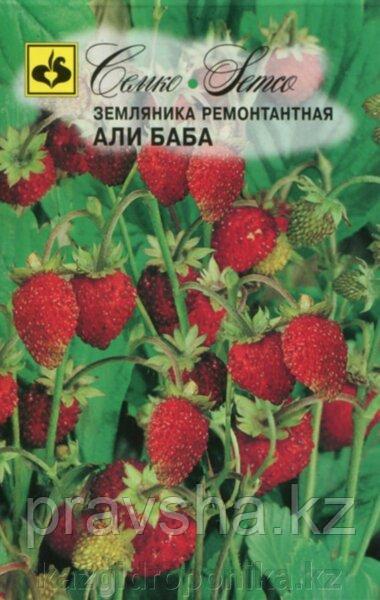 Семена Земляника ремонтантная Али Баба