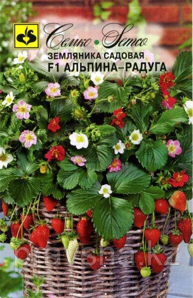 Семена Земляника Альпина Радуга
