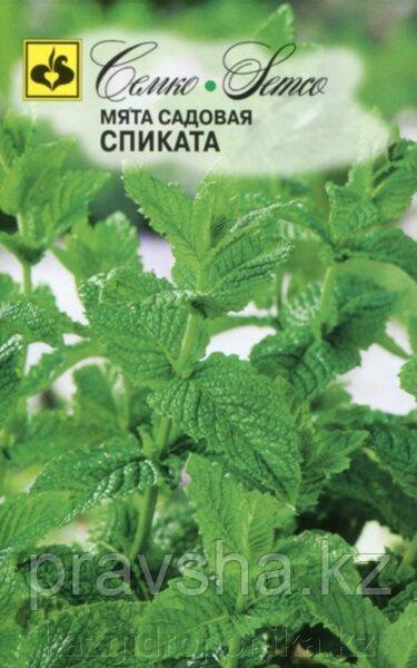 Семена Мята садовая Спиката