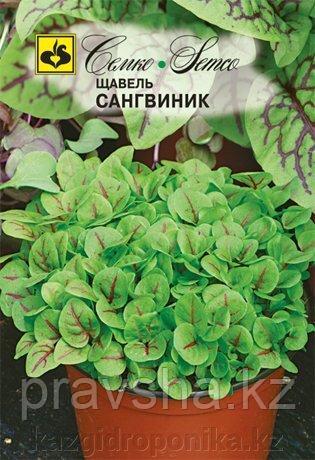 Семена щавель Сангвиник