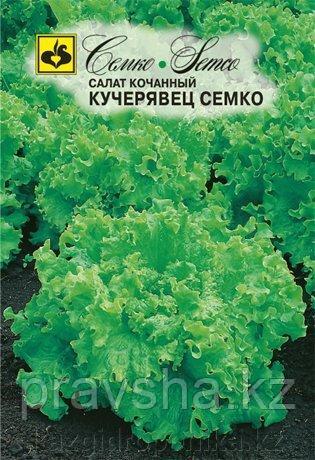 Семена салата полукочанный Кучерявец Семко
