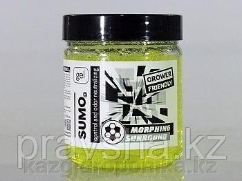 Нейтрализатор запаха Sumo Big Fresh Lime GEL 1000 мл