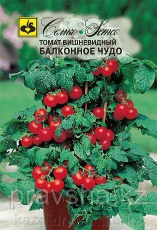 Семена томата Балконное Чудо (красные)