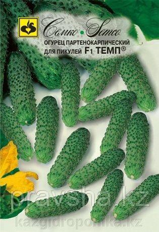 Семена огурца Темп F1
