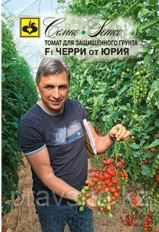 Семена томата Черри от Юрия F1