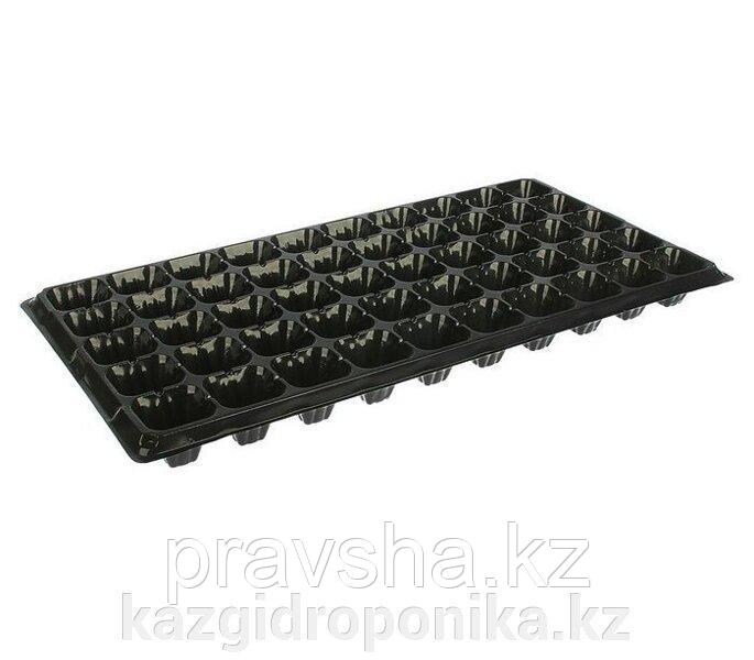 Кассета для рассады, 50 ячеек