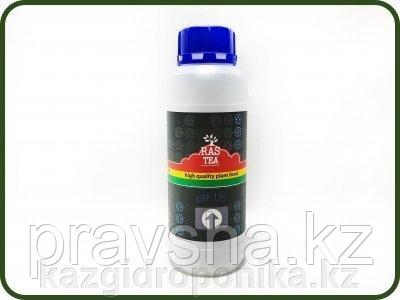 PH Up 0.5L (Rastea)