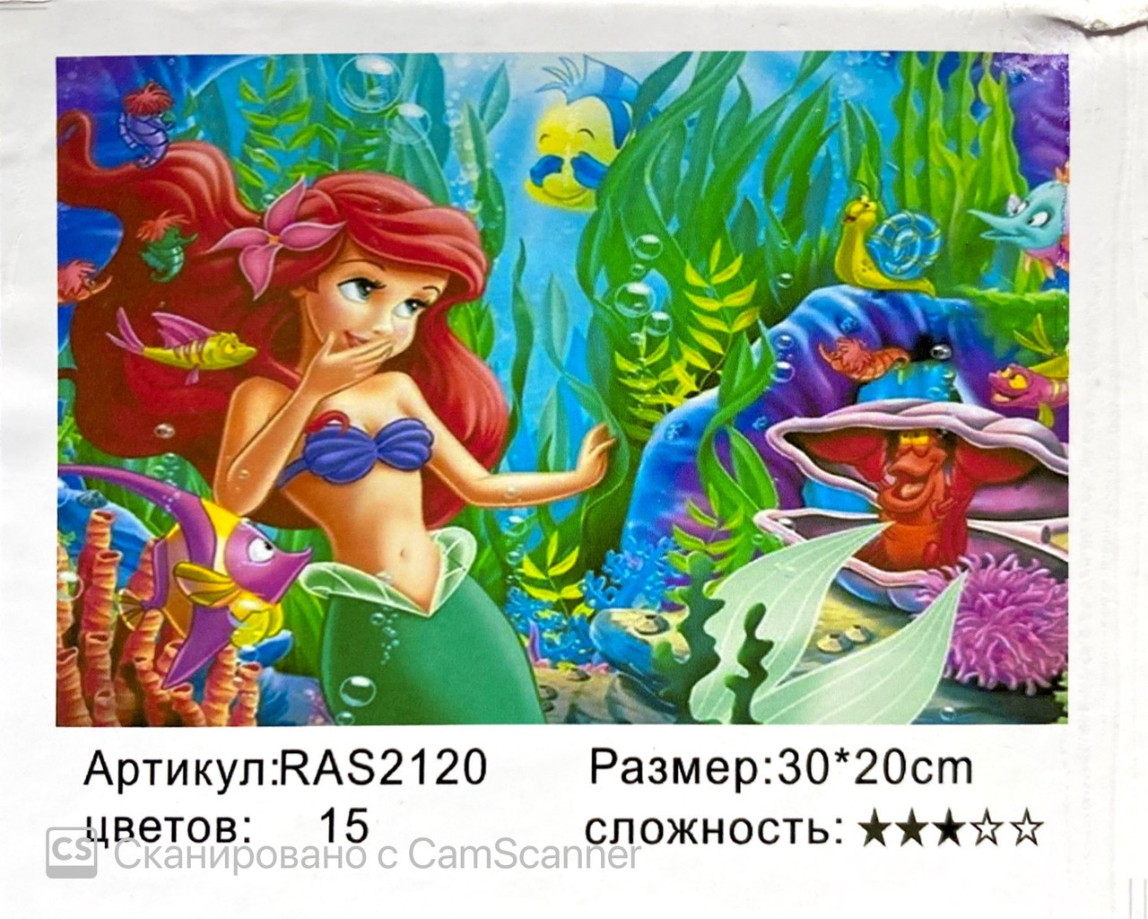 Картина по номерам " Ариель" 20х30 см