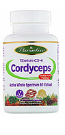 Кордицепс, Cordyceps  60  капсул.400 мг.  Paradise