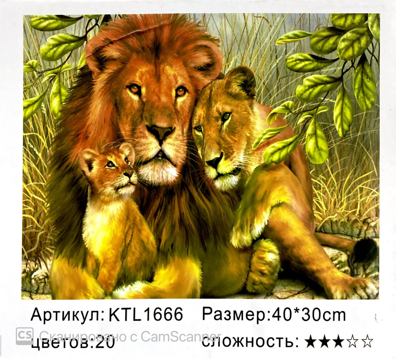Картина по номерам " Львы " 40 х 30см