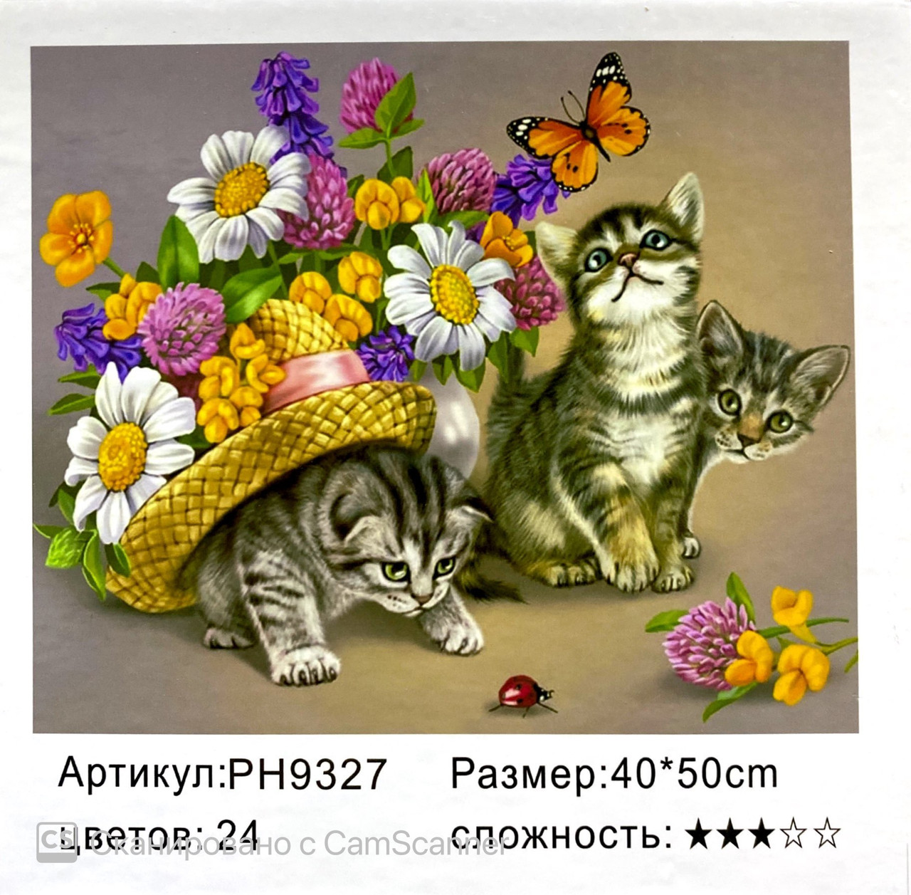 Картина по номерам " Котята " 50 х 40 см