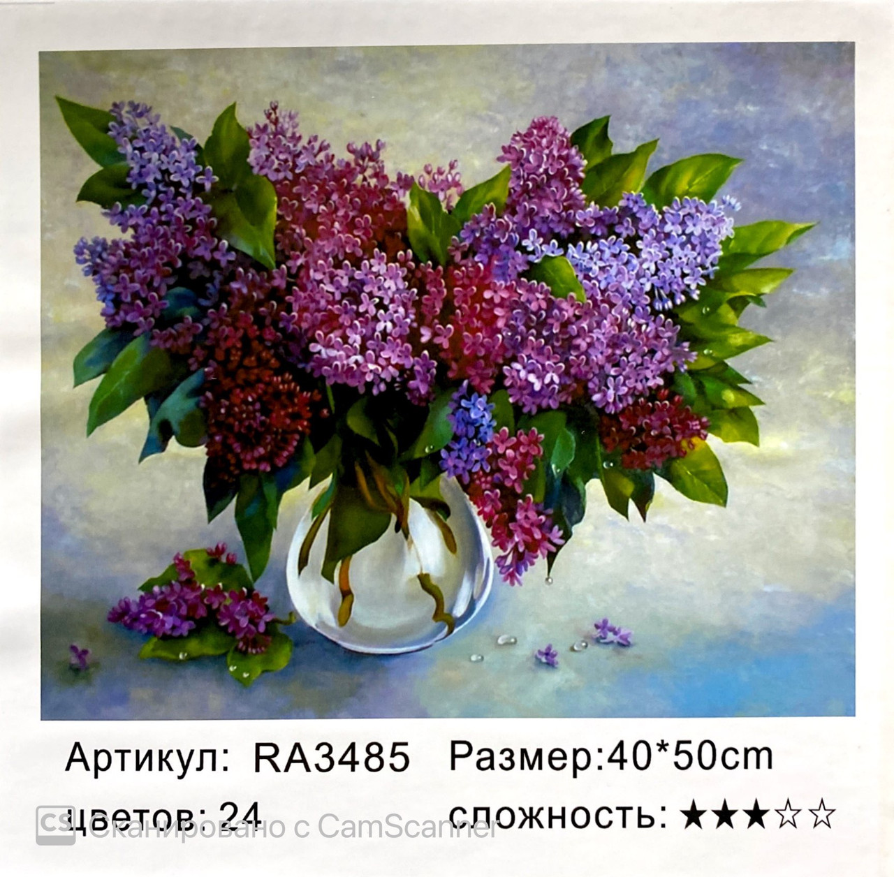 Картина по номерам " Натюрморт " 50 х 40 см