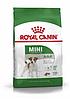 Royal Canin Mini Adult сухой корм для собак мелких пород (звездочки)