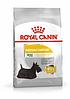 Royal Canin Mini Dermacomfort сухой корм для собак мелких пород с чувствительной кожей