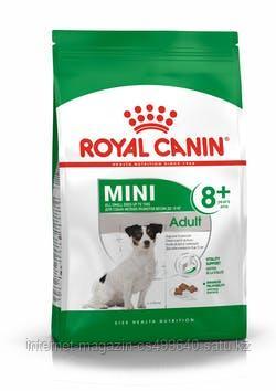 Сухой корм для собак мелких пород от 8 до 12 лет Royal Canin Mini Adult 8+