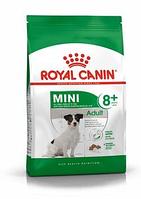 Сухой корм для собак мелких пород от 8 до 12 лет Royal Canin Mini Adult 8+