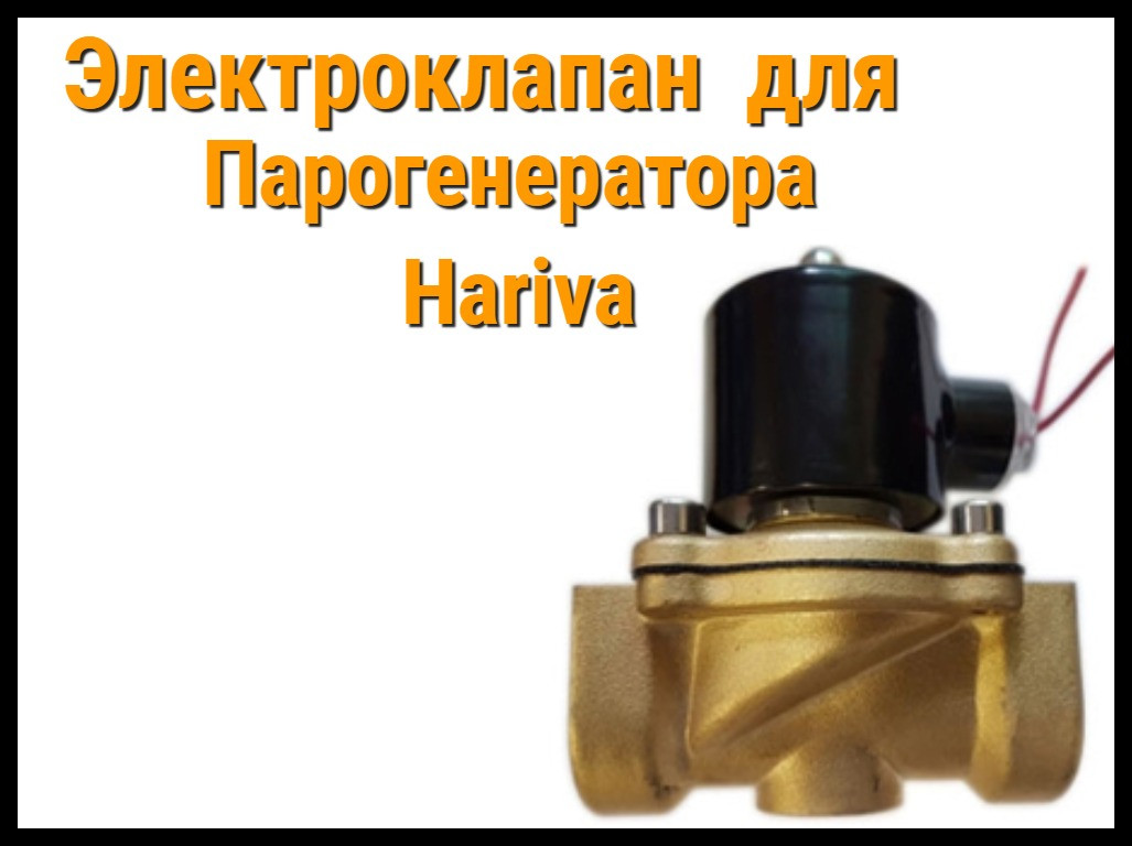 Электромагнитный клапан для Парогенератора Hariva - фото 1 - id-p82149534