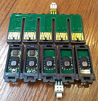 Чипы на планке СНПЧ Epson Т0731N-1031R-1034R for T1100