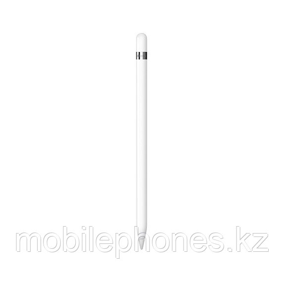 Apple Pencil (1-го поколения)