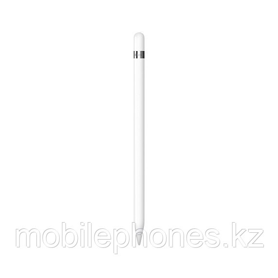 Apple Pencil (1-го поколения)