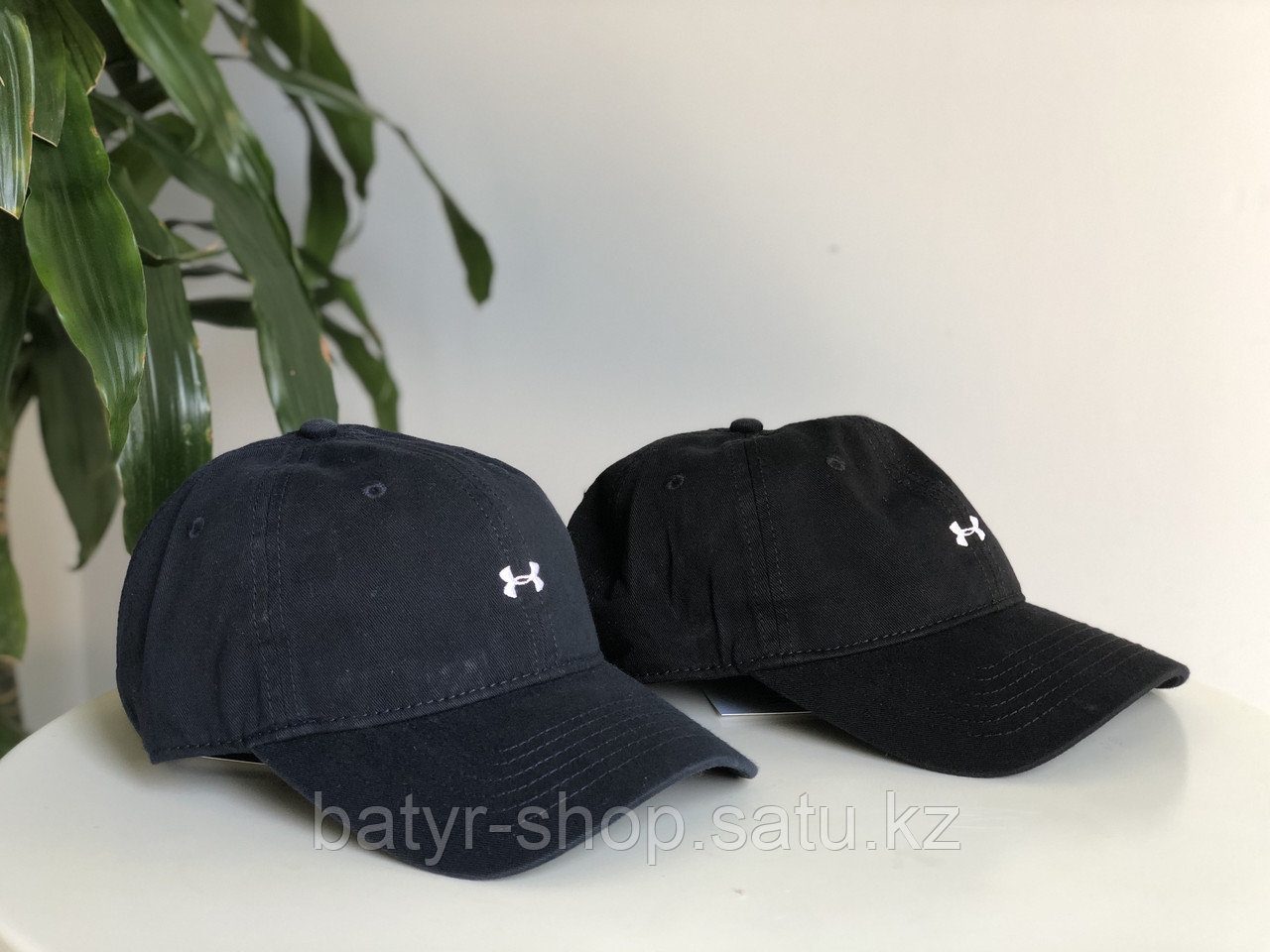 Кепка-бейсболка Under Armour (0275)