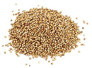 Кориандр зерно, 50 гр (Дядя Сэм)