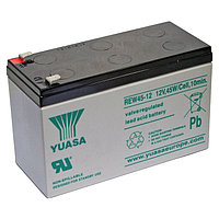 Аккумуляторная батарея Yuasa REW 45-12 82343320 Аккумуляторная батарея Yuasa REW 45-12
