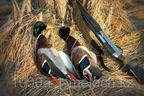 Секс ұлы анасымен порно