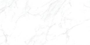Кафель | Плитка настенная  30х60 - Калакатта | Calacatta белый