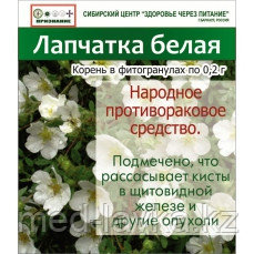 Лапчатка Белая Купить