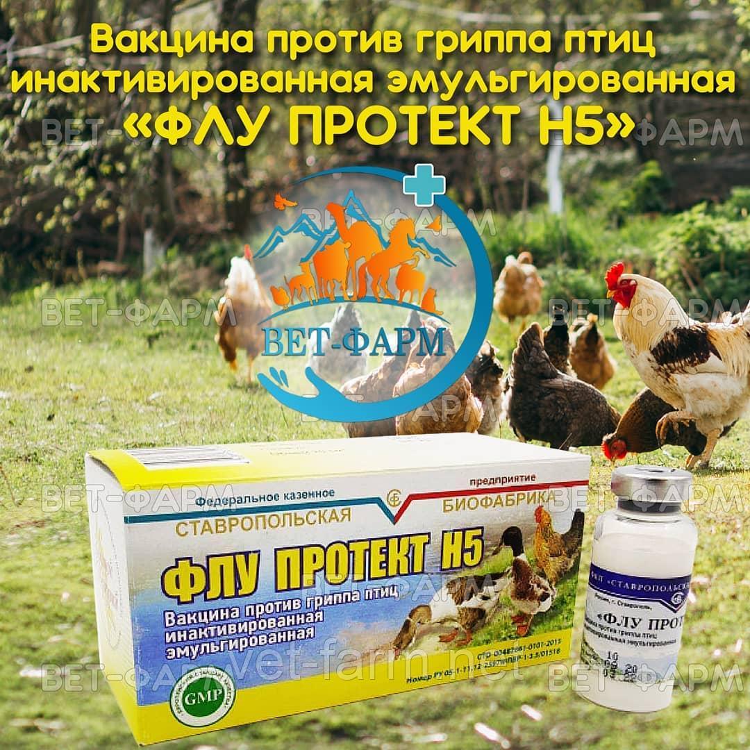 Флу Протект Н5 флакон 40 доз