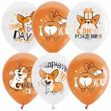 Воздушные шары, 25шт., М12/30см, ПатиБум "White&Orange. Корги. С днем рождения", декоратор, шелк
