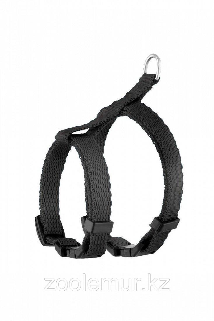 Шлейка Saival Classic "Color" для кошек Черный XS