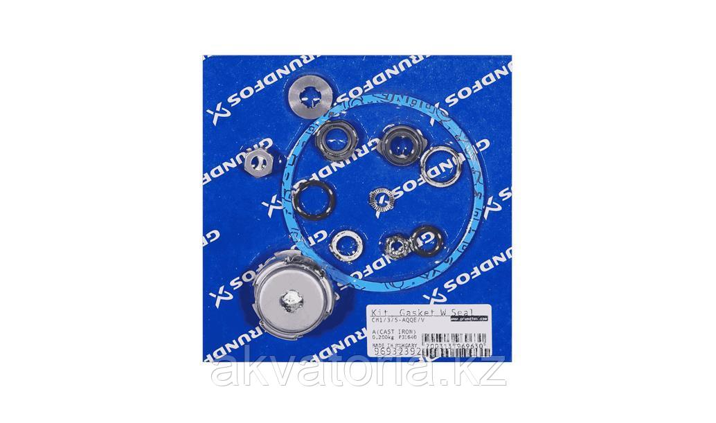 Gasket/seal kit CM1/3/5-AQQE/V (96932392)