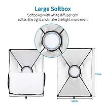 2 х Софтбокс комплекта 50×70 с LED лампой с теплым и холодным светом + сумка, фото 3