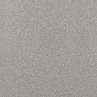 Алюминиевая композитная панель Bildex BL 9007/ Мокрый асфальт