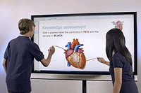 Интерактивные панели