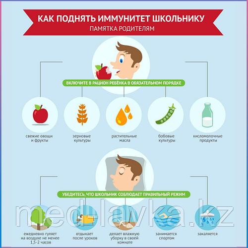 Иммунитет человека