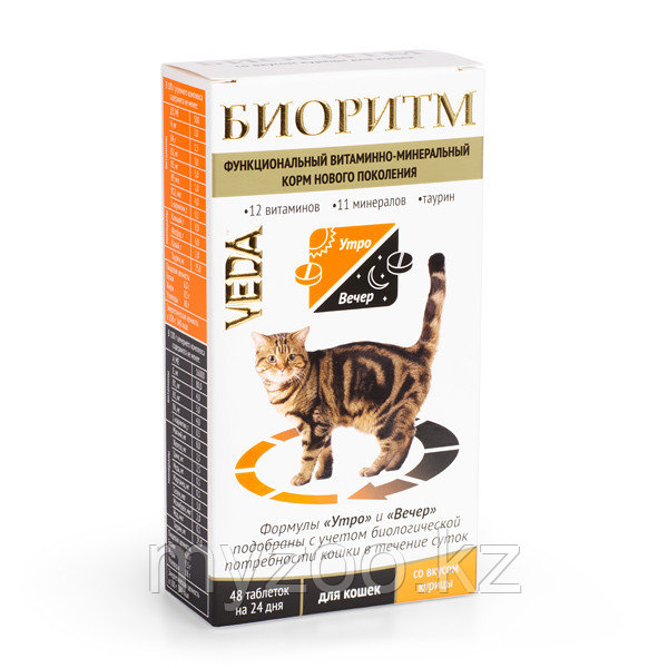 БИОРИТМ функциональный витаминно-минеральный комплекс для кошек, уп. 48 табл. - фото 1 - id-p82833361