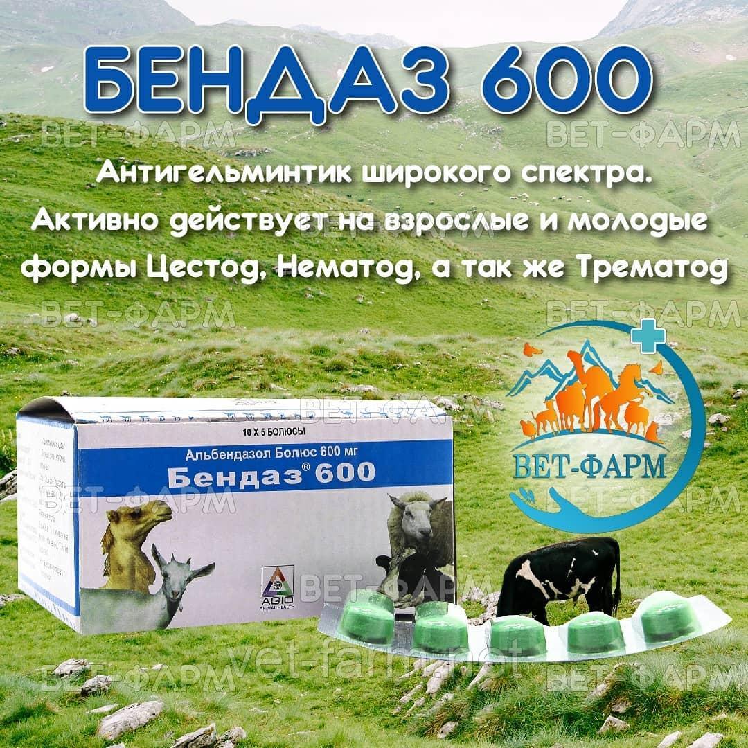Бендаз Болюсы 600 мг
