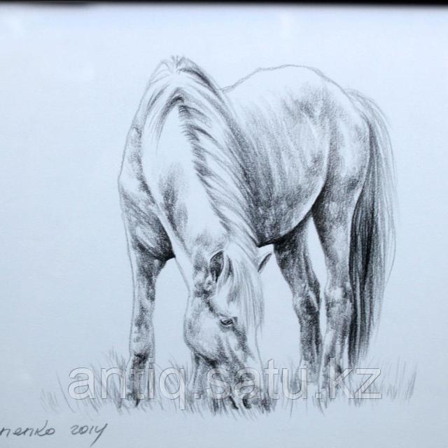 Қатты секс туралы әңгіме Егде жастағы әйелдердің жасырын камерасы