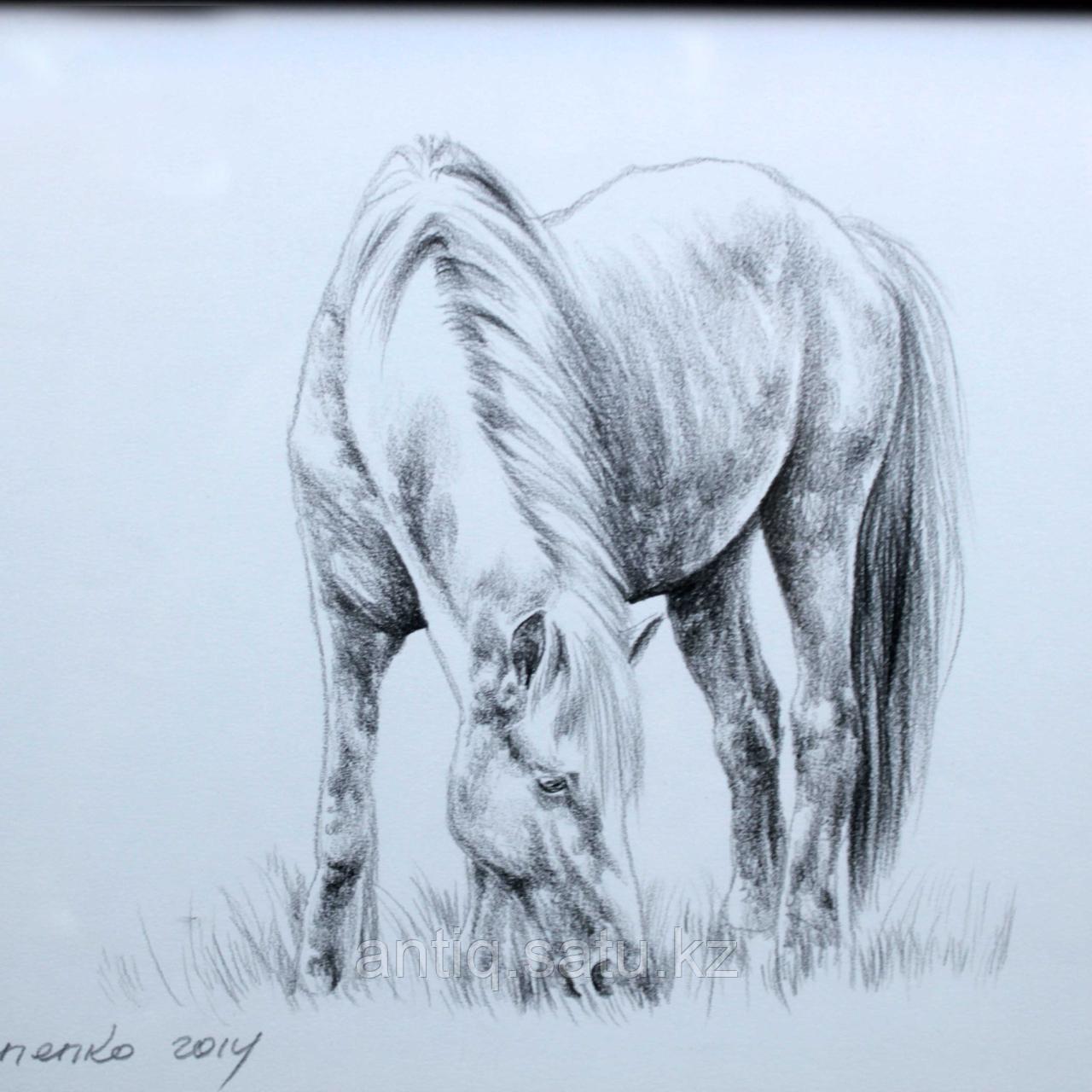 Егде жастағы адамдардың веб-камера порносы