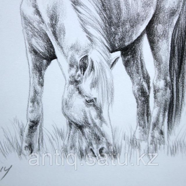 Порно индустриясындағы атақты адамдар