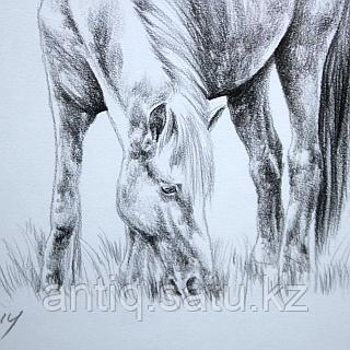 Әйелдеріміздің домалақ есектері